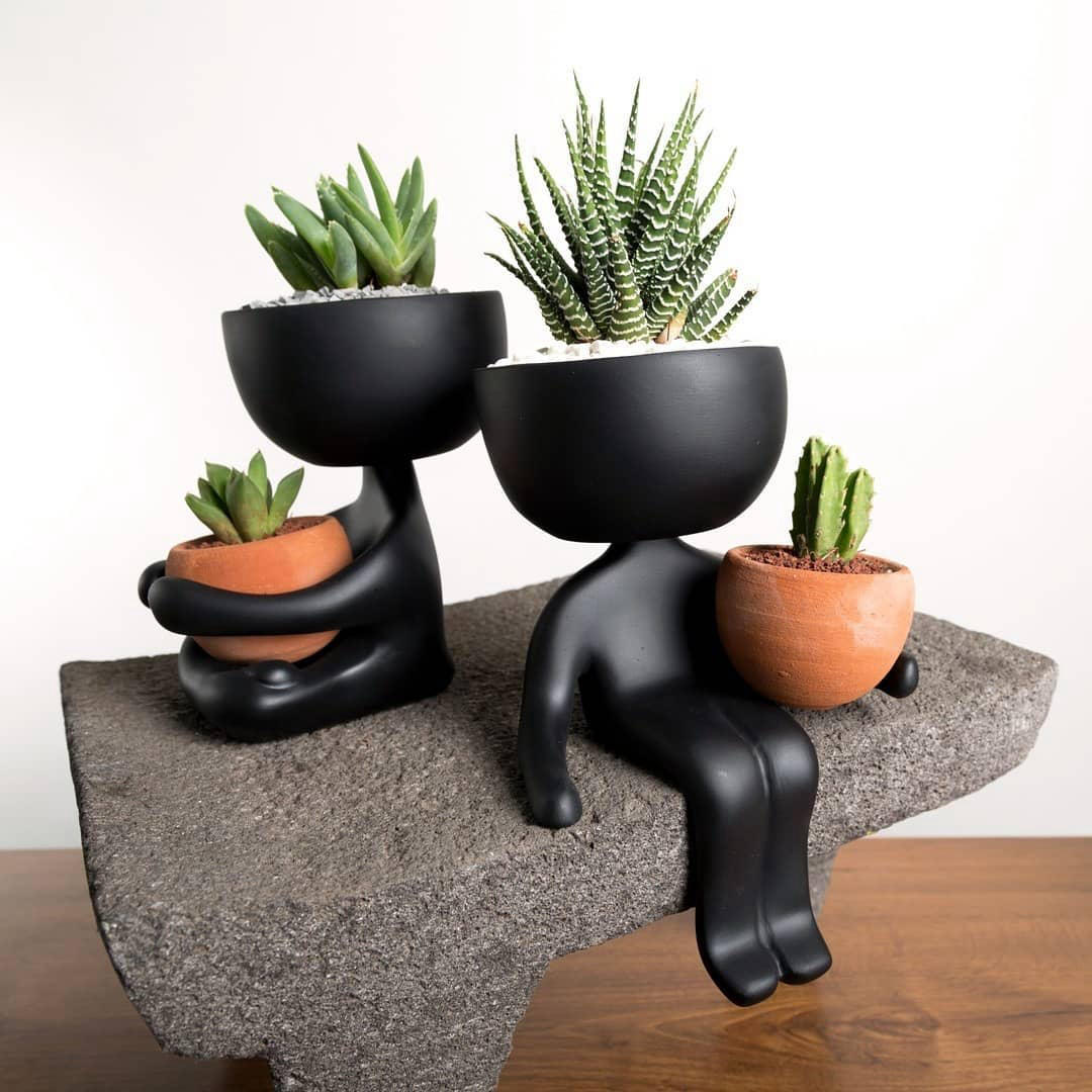 Daily Design Intake - Which plant pot is your favourite