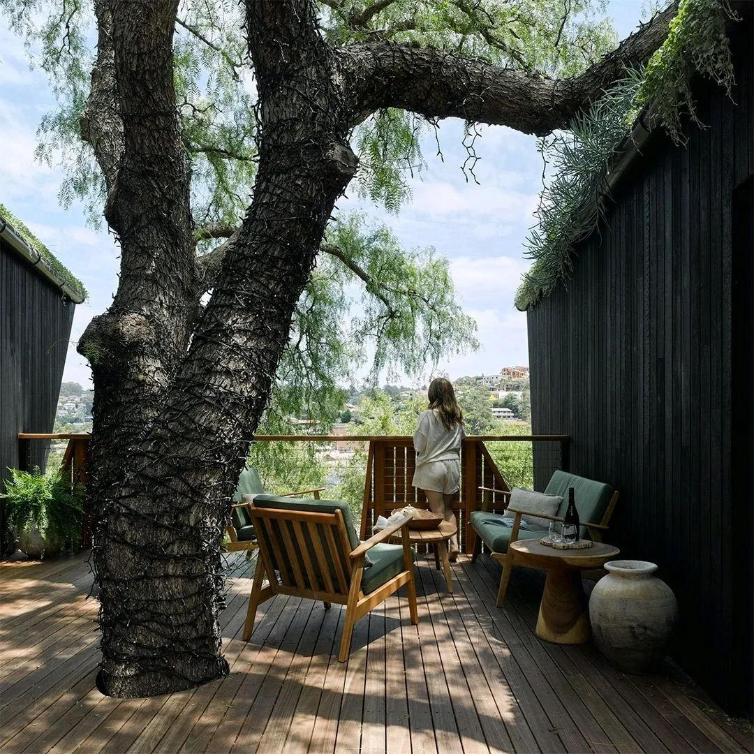image  1 designboom magazine - within a lush tree canopy in #illawarra, #australia, #asa_alexandersymesarchit