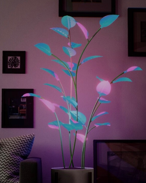 image  1 Magical LED Houseplant